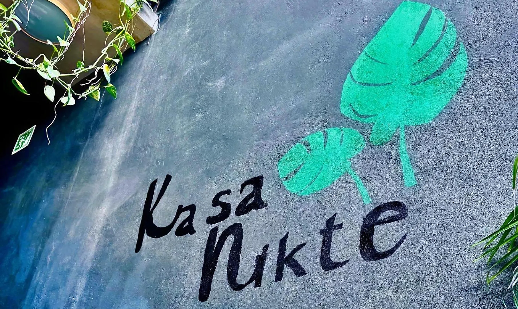 Kasa Nikte Tulum Bed & Breakfast