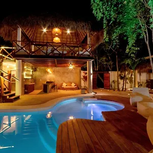  Hostel Mimosa