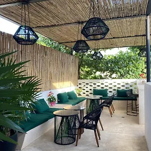 Latino Boutique טולום