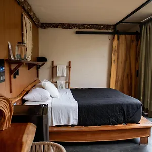 Bufo Alvarius Hotel