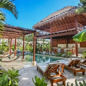 Zenses Wellness And Yoga - Adults Only Hotel